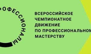 профессионалы